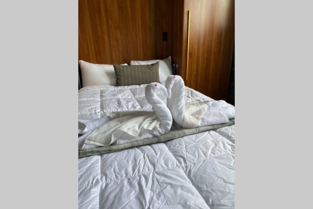 3E-Cozy! Micro Apartment Minutes From Shadyside, Sleeps 1 Pittsburgh Exterior foto
